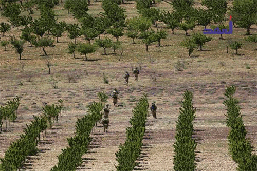 combatientes de Hezbolá en el valle Rahue